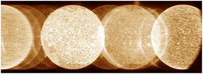 Future Prospects for Solar EUV and Soft X-Ray Spectroscopy Missions